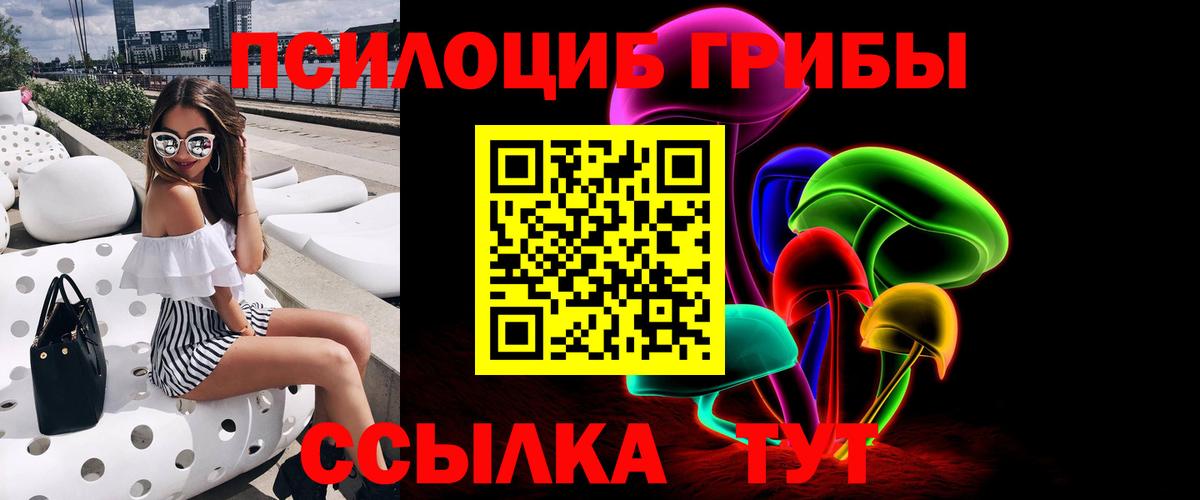 Псилоцибиновые грибы прущие грибы Сафоново